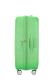 Mala de Viagem Média 67cm Expansível SoundBox Verde Primavera - MISSCATH