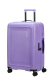 Mala de Viagem Média 67cm Expansível 4 Rodas DashPop Violeta Púrpura - Misscath | Mala de Viagem Média 67cm Expansível 4 Rodas DashPop Violeta Púrpura | American Tourister