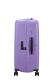 Mala de Viagem Média 67cm Expansível 4 Rodas DashPop Violeta Púrpura - Misscath | Mala de Viagem Média 67cm Expansível 4 Rodas DashPop Violeta Púrpura | American Tourister